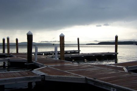 vaca 2009 341