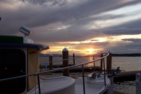vaca 2009 374