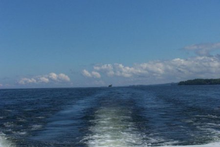 vaca 2009 410