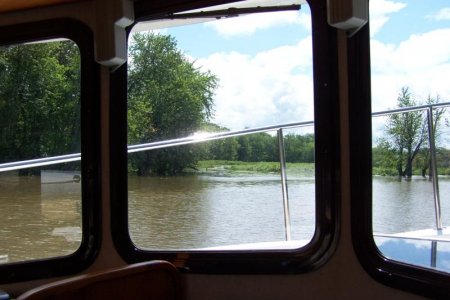 vaca 2009 417