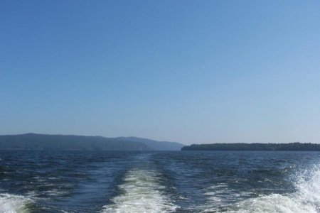 vaca 2009 465