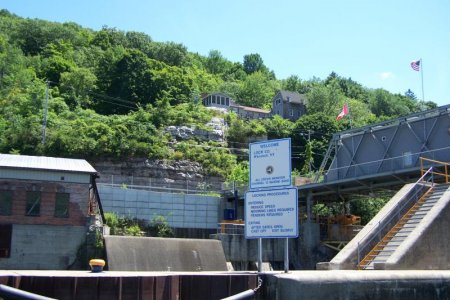 vaca 2009 467