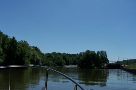vaca 2009 472