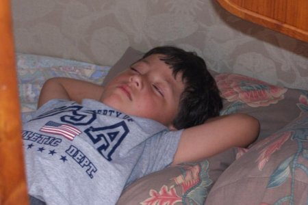 vaca 2009 539