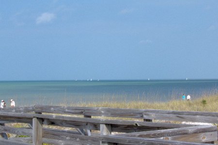 Caladesi Island State Park 008