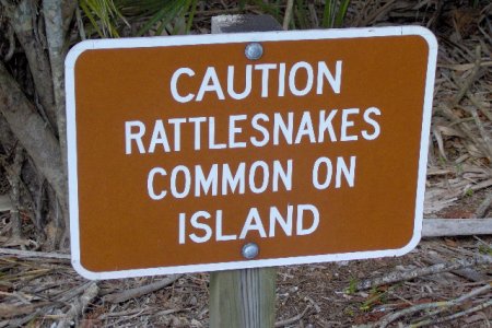 Caladesi Island State Park 012
