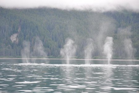 Synchronized spouts