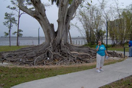 ft meyers beach 014