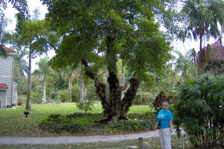 ft meyers beach 028