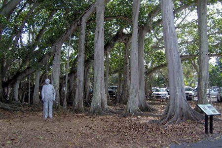 ft meyers beach 003