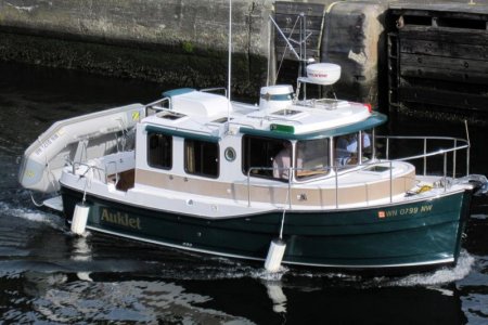 Auklet entering the locks