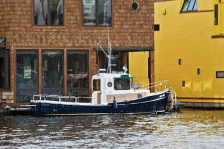 Bearded R21 on Lake Union