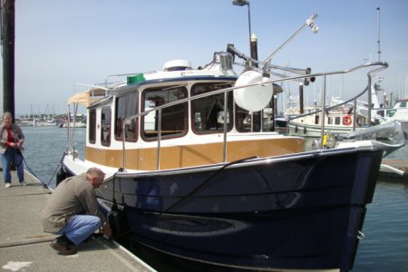 17 May: Launched
