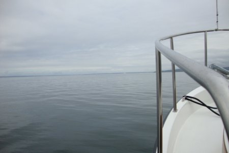 Bellingham Bay - nice and flat!