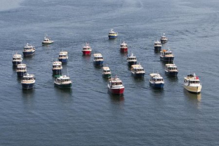 Bremerton Tug Fest