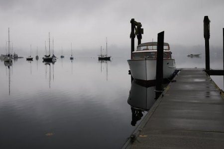 Mimi Picture at Vashon Nov. 7, 2010