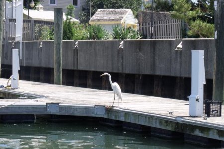 Vacation 2010 076