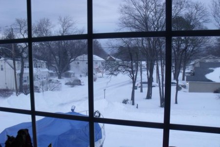 winter 2010 152