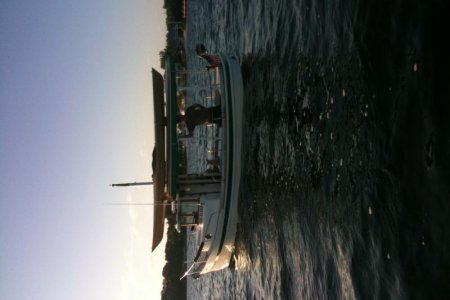 tug along