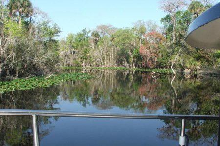 Alex Creek star
