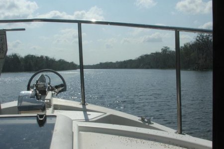 St Johns River 2