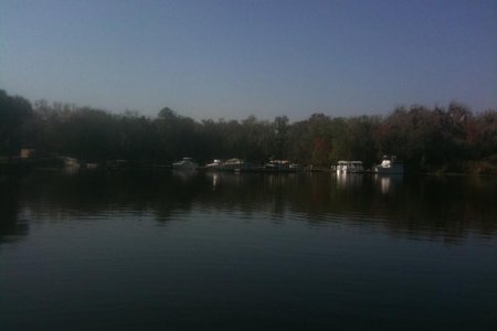 Hontoon St Park