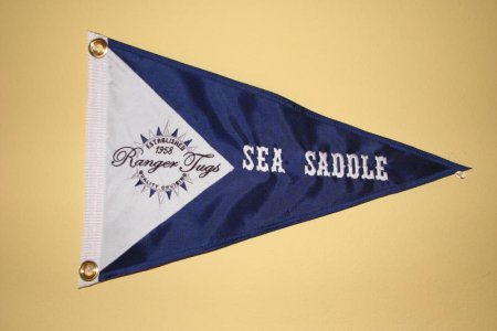 Sea Saddle