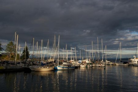 DSC_7721