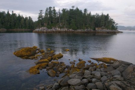 DSC_8074