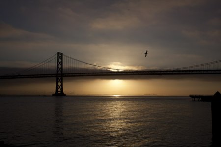 Fleetweek-7843