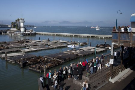 Fleetweek-7947