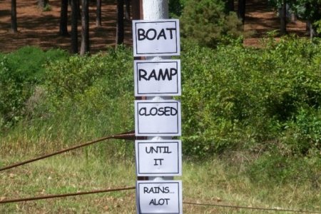 Bullfrog Marina s
