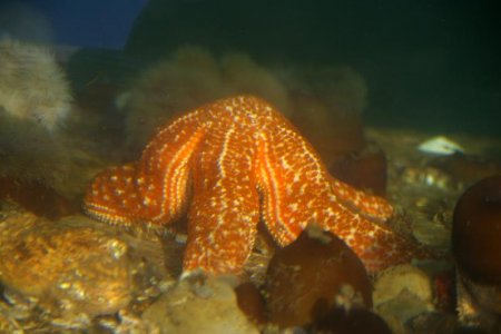 IMGP4974re