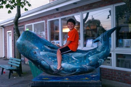 Whale Riding