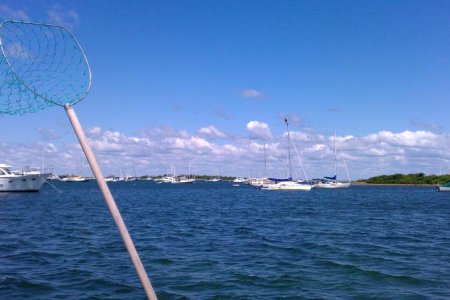 Hanging out in a bosun's chair