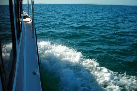 crowded seas