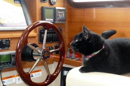 Boris at the helm