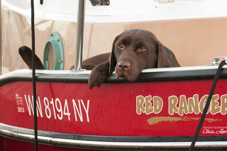 Sable draped over Red Ranger gunnel