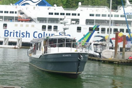 Watch out for the ferry