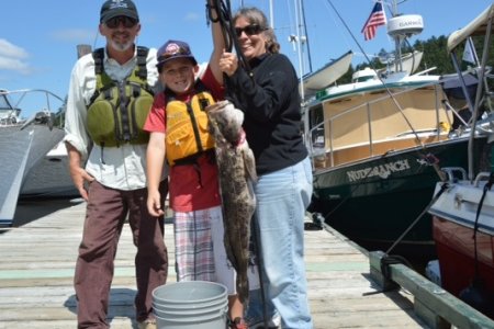 Lincoln Lingcod cropped
