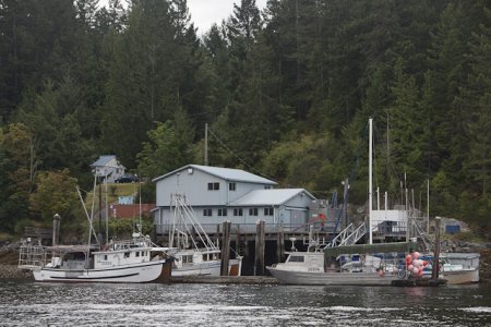 Desolation_Sound-0977