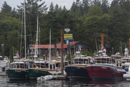 Desolation_Sound-0979