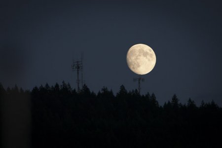 Desolation_Sound-1040