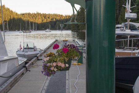 Desolation_Sound-1386