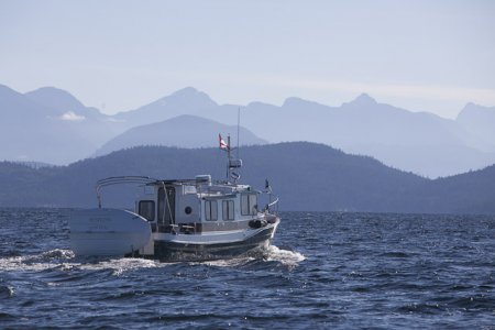 Desolation_Sound-1404