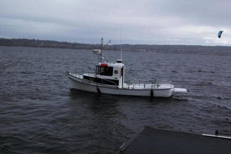 Tug- Lake Washington