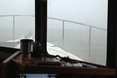 Cold, Fog, Coffee, and solitude