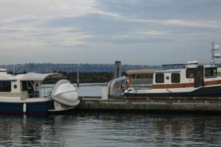 IMG_5545