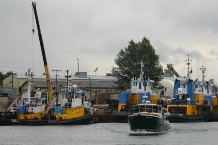 Media 'IMG_5644' in album 'Fisherman's Terminal May 2013'
