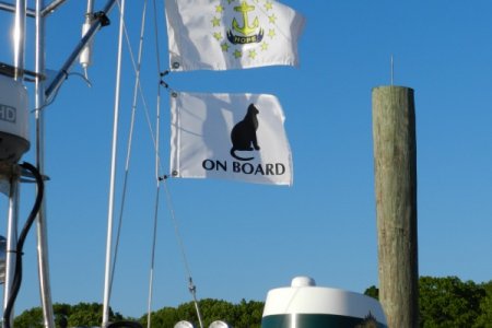 Cat on board flag